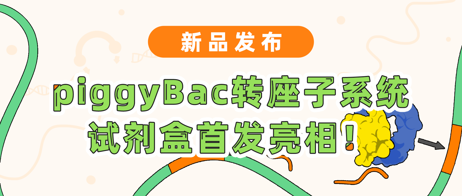 新品发布| 球盟会生物基因piggyBac转座子系统试剂盒首发亮相！极速转座，千元不到体验高效基因递送！